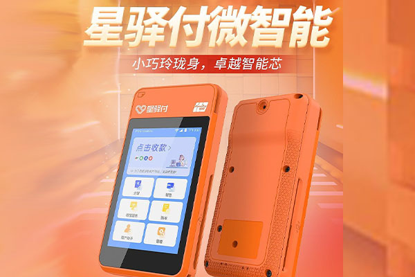 陇南国通微电签POS机